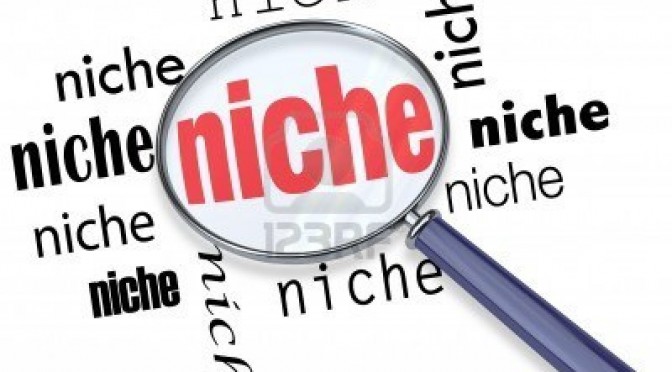 niche-research